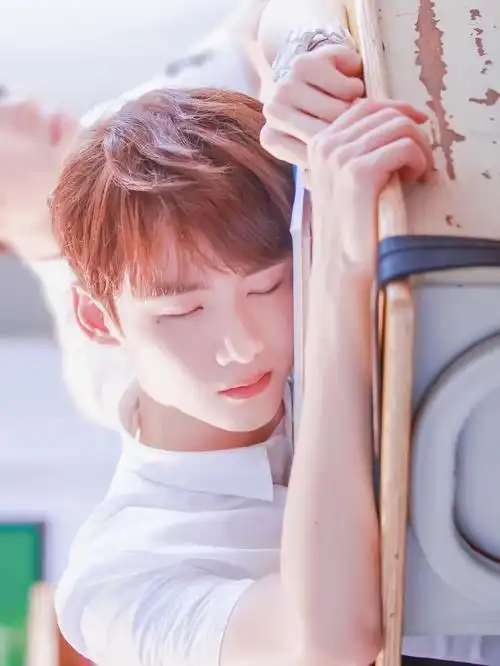 陆之昂白敬亭壁纸