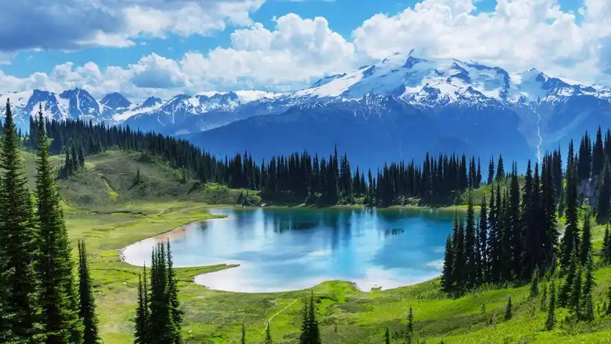 开在坐位的左前方,以进门而论,是在右前方,因我们走路习惯大都是靠右