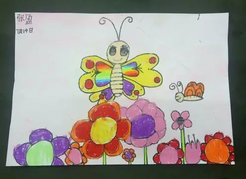 蛋糕老师八点半的创意绘画——《缤纷蝴蝶》
