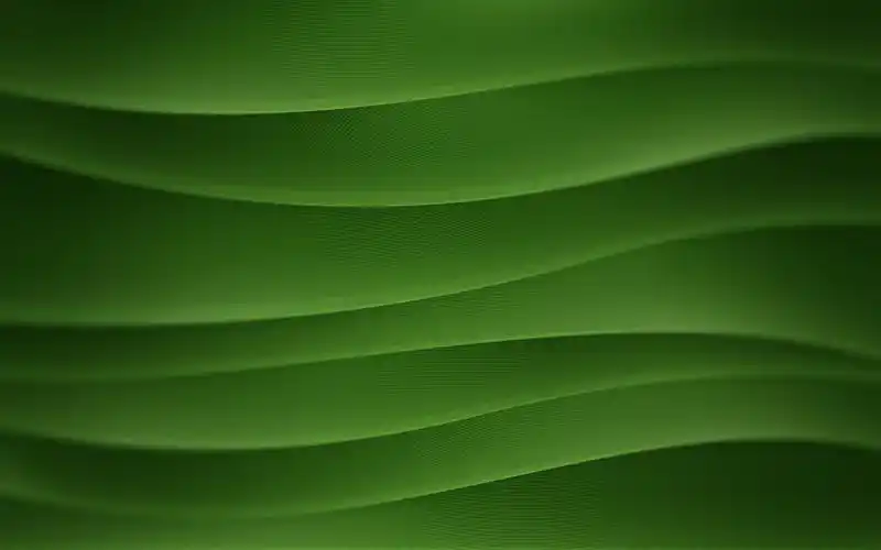 精美宽屏绿色壁纸 2009/06/30壁纸图片