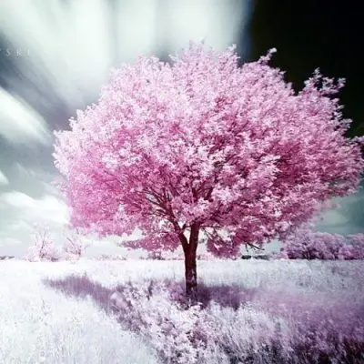 不一样的风景,是否能给你带来快乐_风景静物头像_我要个性网