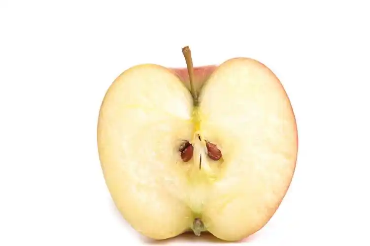 苹果一半,photpograph 的一个苹果切一半射击在工作室和孤立的白色