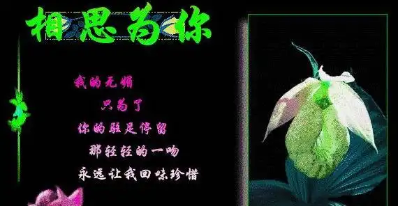 梦中相遇的唯美句子梦里相见撩人情话