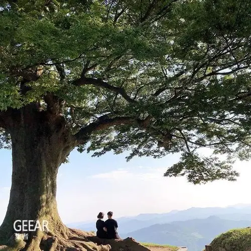 g生活德鲁纳酒店剧中热门打卡地酒店玫瑰花园沙滩原来在这