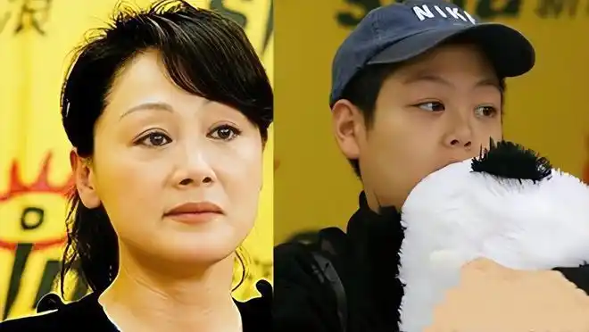 60岁的王姬:孕期拍戏导致儿子成智障,女儿高丽雯成弟弟"小妈"