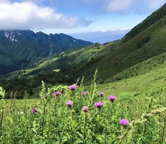 流峪草甸穿越 赏田园风光