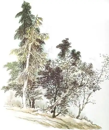 夹叶树与点叶树组合:以一株夹叶树和四株点叶树组成树丛时,树梢要画得