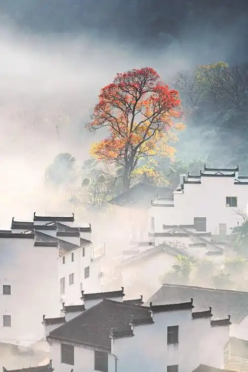 王子乾:徽式民居的黑白诗意与水墨风情_建筑