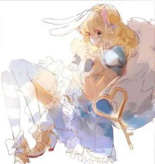 四次元忘羡 王者荣耀 妲己 仙境爱丽丝