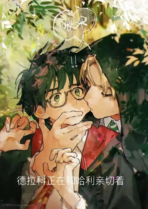 哈利被德拉科淦的日常