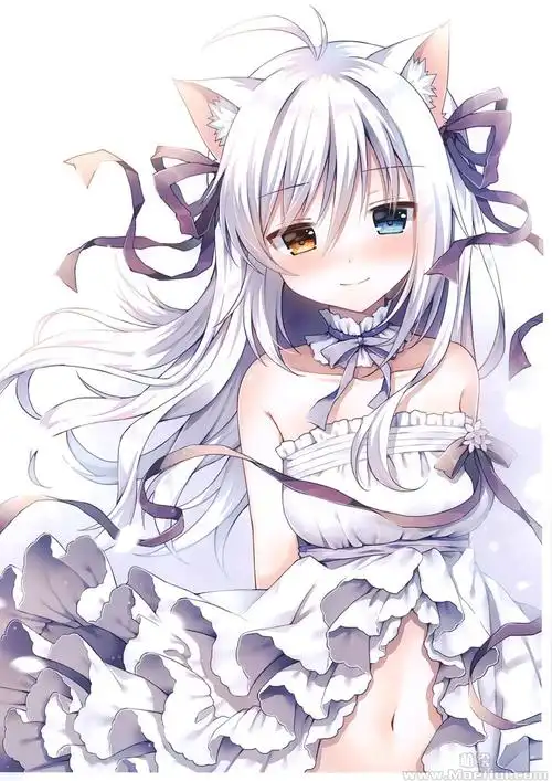 会员画集watapunchmauvekutatanekopunchvol312p