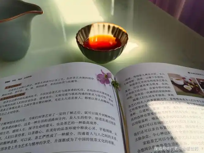一盏茶一本书一世芳华