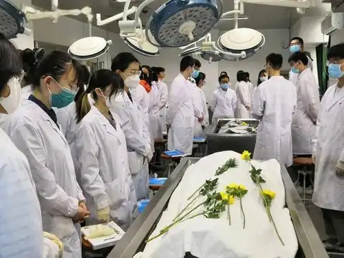 基础·特刊 | 北京大学基础医学院"感恩无言良师,牢记医者使命"清明