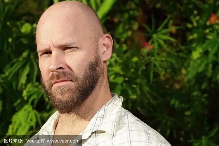 剃光头,络腮胡子,男人,水平画幅,白人