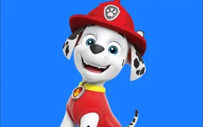 【《汪汪队之星空下的友谊》有声剧】汪汪队成员"毛毛"驾到!