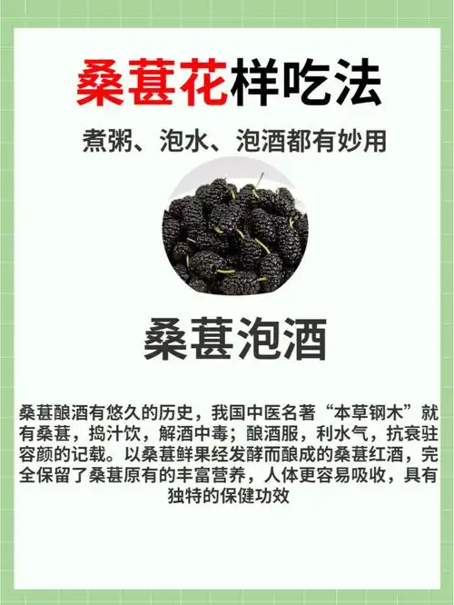 桑葚吃法养生搭配75喝出健康好气色