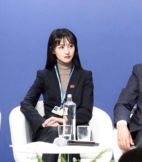 长脸郑爽联合国发言一身职业装干练自信配高领毛衣气质好