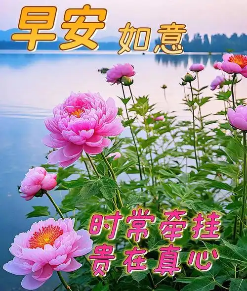 6月22日最新早安漂亮图片祝福