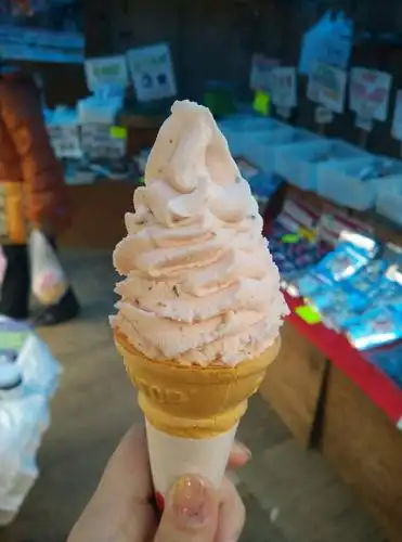 樱花冰激凌,回来翻照片,发现我所有的冰激凌都没有尖儿.