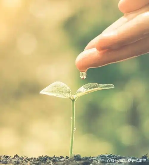 希望在未来的某一天,美好不期而遇