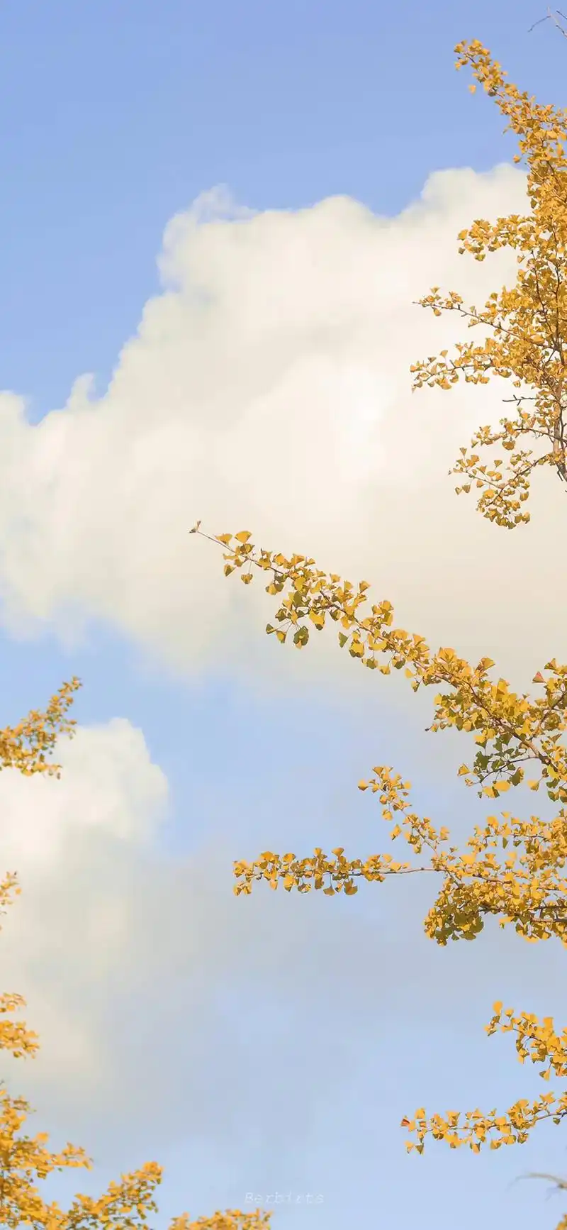 蓝天白云定会如期而至 #生活明朗万物可爱 令你心情明朗的# - 抖音