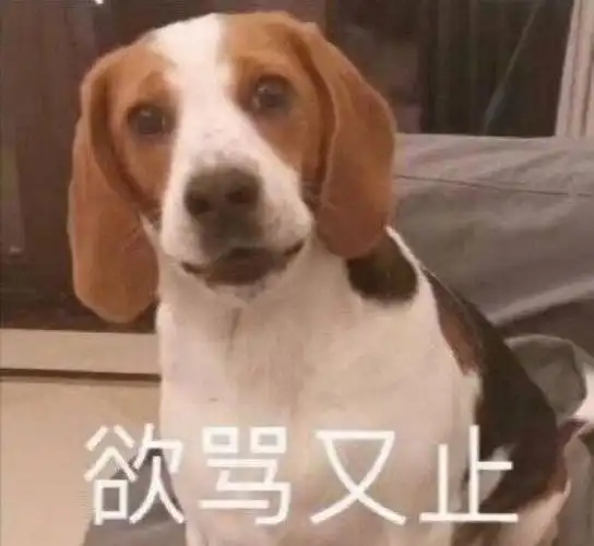 的[旺柴](dddd95)我无意再听下去突然想起冰墩墩就专心的去刷99