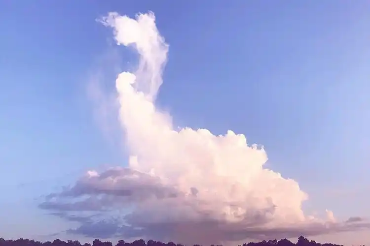 tennessee river alabama in my eyes 横图 背景图