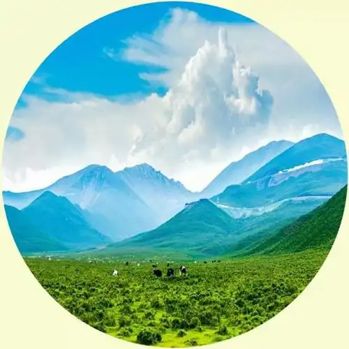 微信头像,山川绿地,美丽的大自然,难得一见的美景