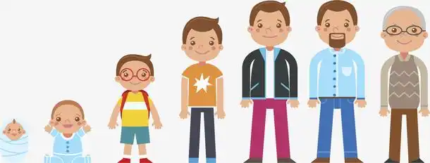 从小婴儿长大成人