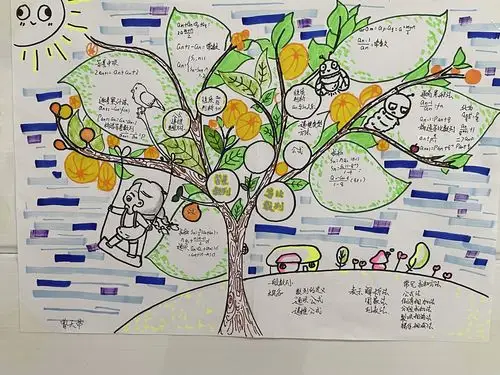 让知识内化,让思维开花——高中数学思维导图评选活动