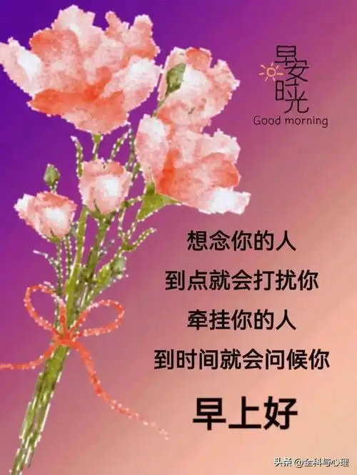 16张今日最新版早上好表情图片大全,问候情谊好, 天天都美好