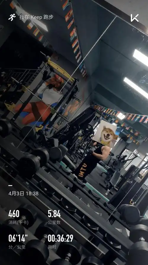 🏃打卡最少三个月忘了健身房长什么样_keep