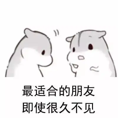 最适合的朋友即使很久不见你有这样的朋友吗友情朋友表情