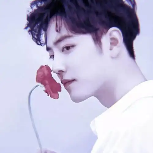 头像萌物小姐姐闺蜜肖战