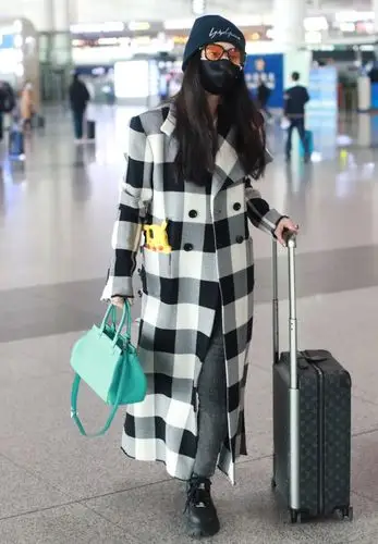 范冰冰格纹大衣优雅时髦机场照图片