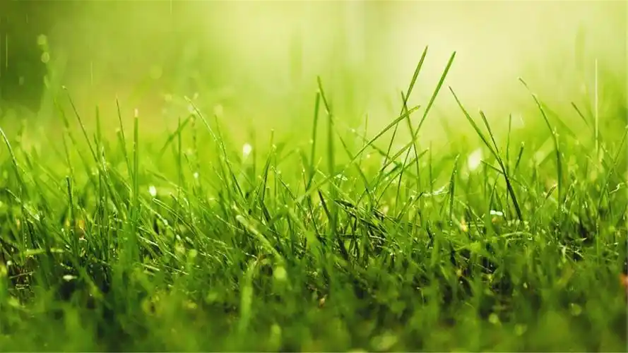 全是以绿色图片为背景,涵盖了山川河流,树木花草,蓝天白云,庄稼草原