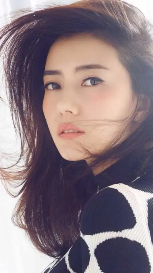 美女明星图,高圆圆