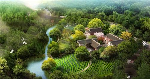 山地民宿设计效果图 度假庄园山度度假森林度假森林人家森林民宿