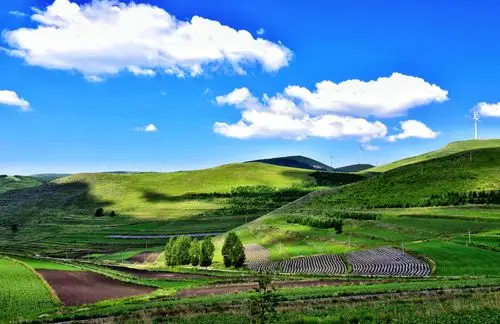 《草原天路》 雪松:摄影