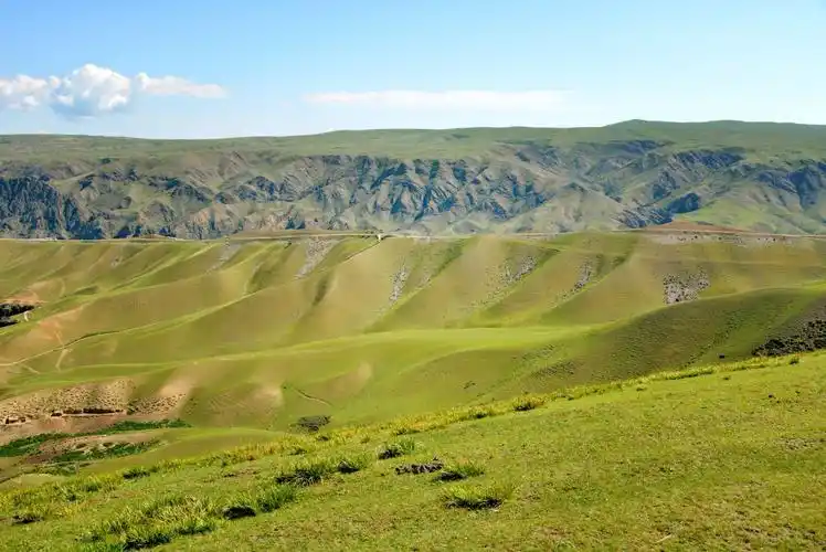 天山山地草甸草原最典型的代表,喀拉峻.