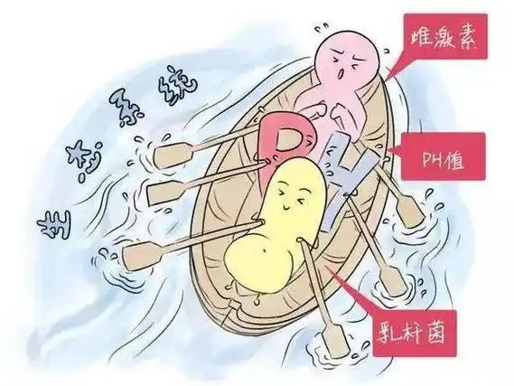 各有什么症状?华克维两性霉素b阴道泡腾片成功去炎!_危害_外阴_生活