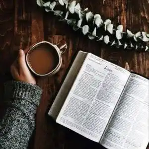 书本头像图片精选 微信书本头像图片大全 - 头像图片 - 潮人个性网