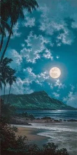 椰林沙滩与月亮,就很浪漫.