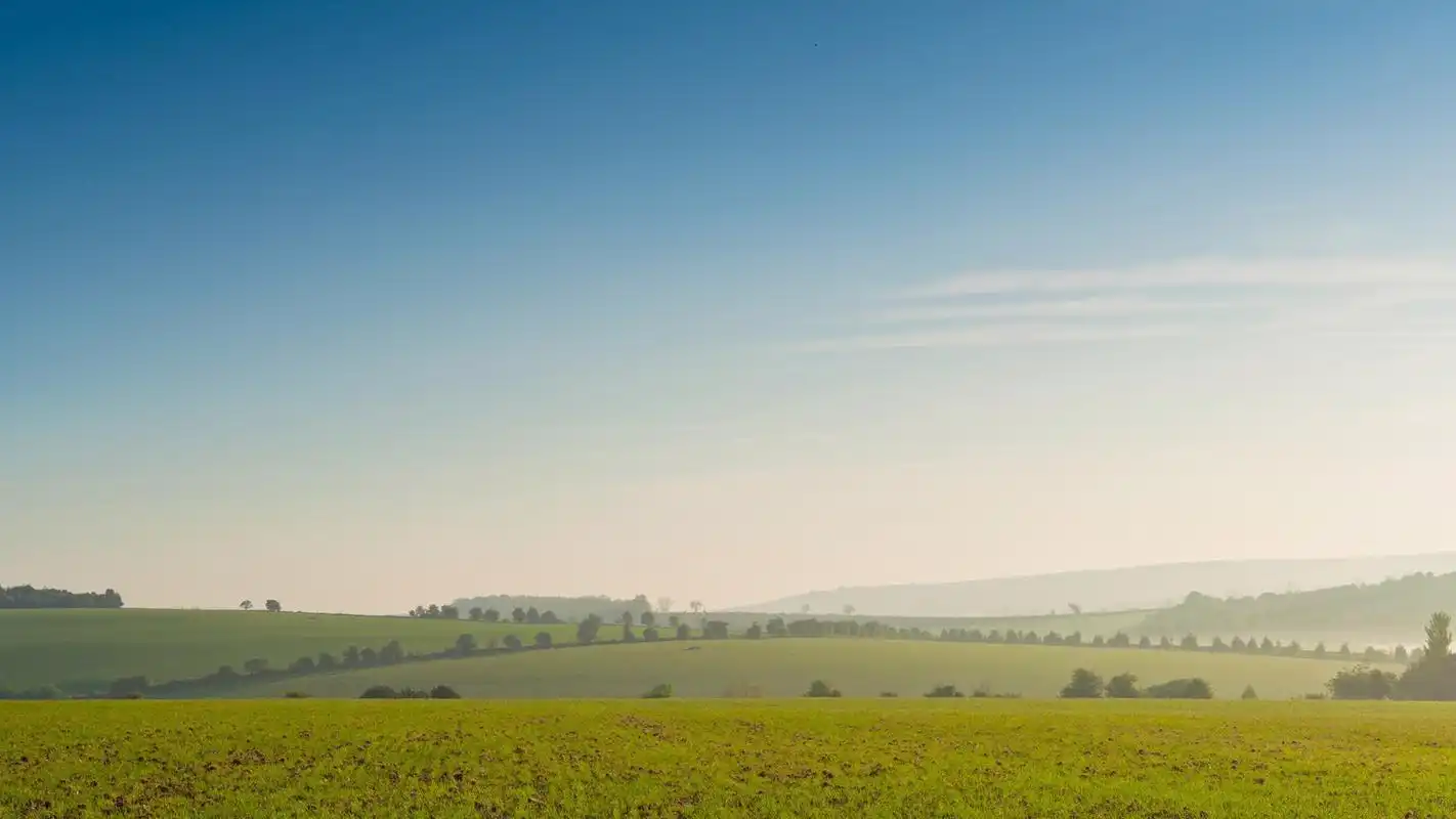 清新绿色护眼自然风光高清桌面壁纸