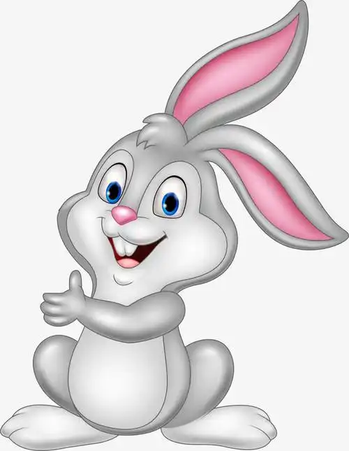 呆萌灰色兔子