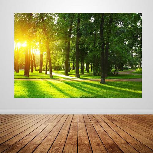 树林森林田园自然风景大挂画阳光树木公园绿色养眼护眼装饰贴画x9