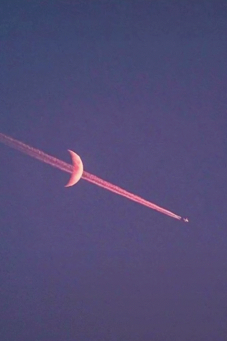 文字句子手写情话底图 - 堆糖,美图壁纸兴趣社区