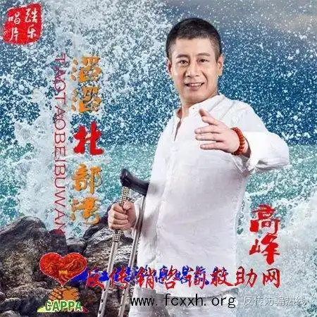 歌手高峰要为资本运作传销正名滔滔北部湾贻害无穷