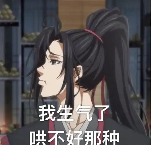 魔道祖师忘羡的图片
