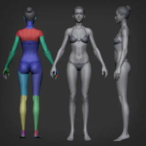 女人体tpose雕刻练习